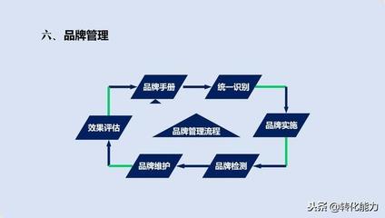 品牌 從定義到實(shí)戰(zhàn)——品牌策劃、管理與運(yùn)營(yíng)的全維度指南